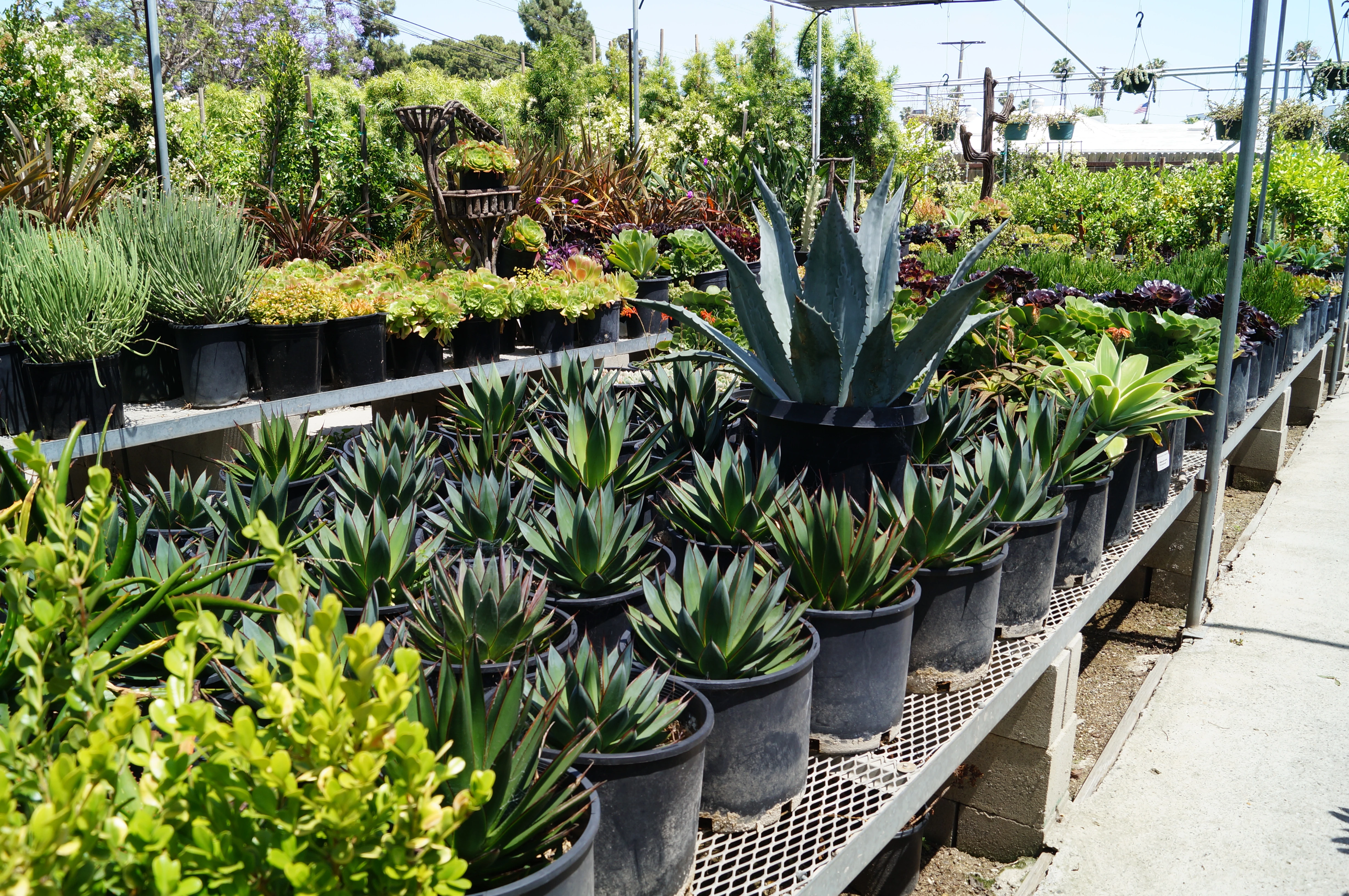 Comprehensive landscaping solutions